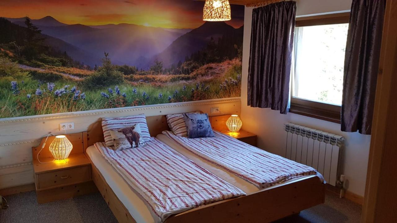 Haus Izabella Appartement Filzmoos Buitenkant foto