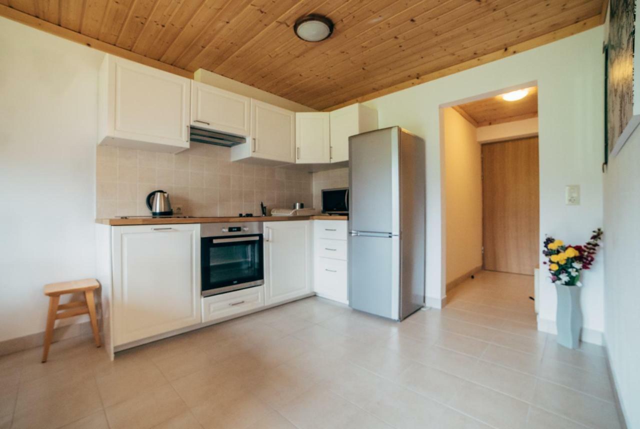 Haus Izabella Appartement Filzmoos Buitenkant foto