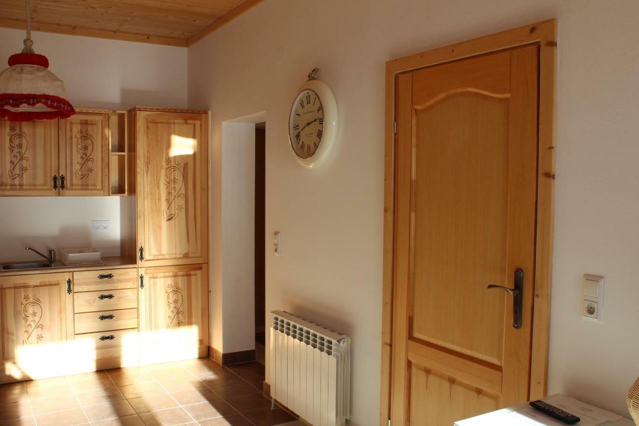 Haus Izabella Appartement Filzmoos Buitenkant foto